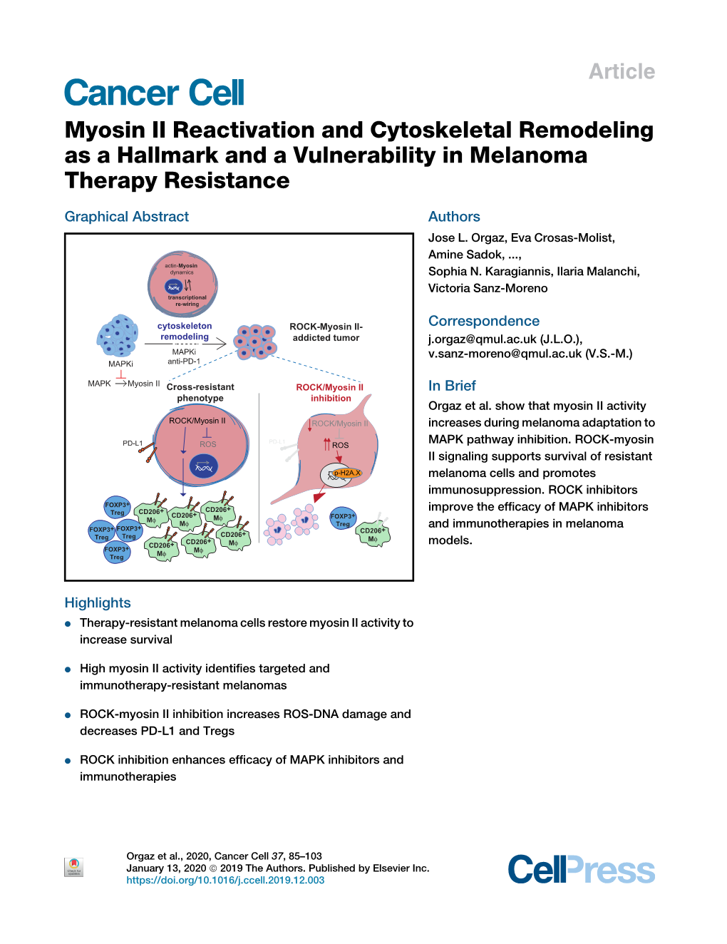 Myosin II Reactivation and Cytoskeletal Remodeling As a Hallmark and a Vulnerability in Melanoma Therapy Resistance