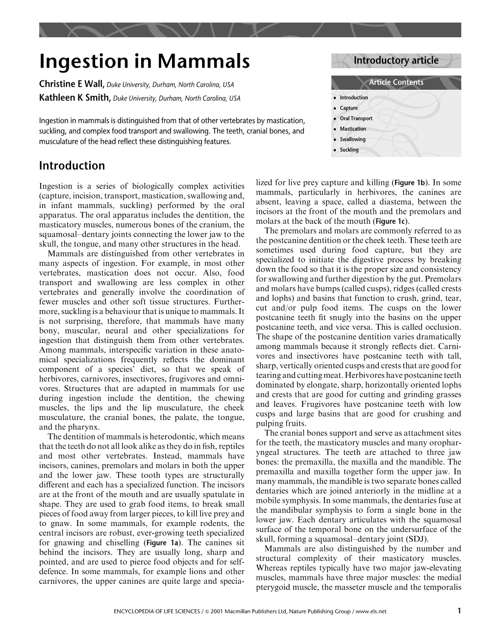 Ingestion in Mammals Introductory Article