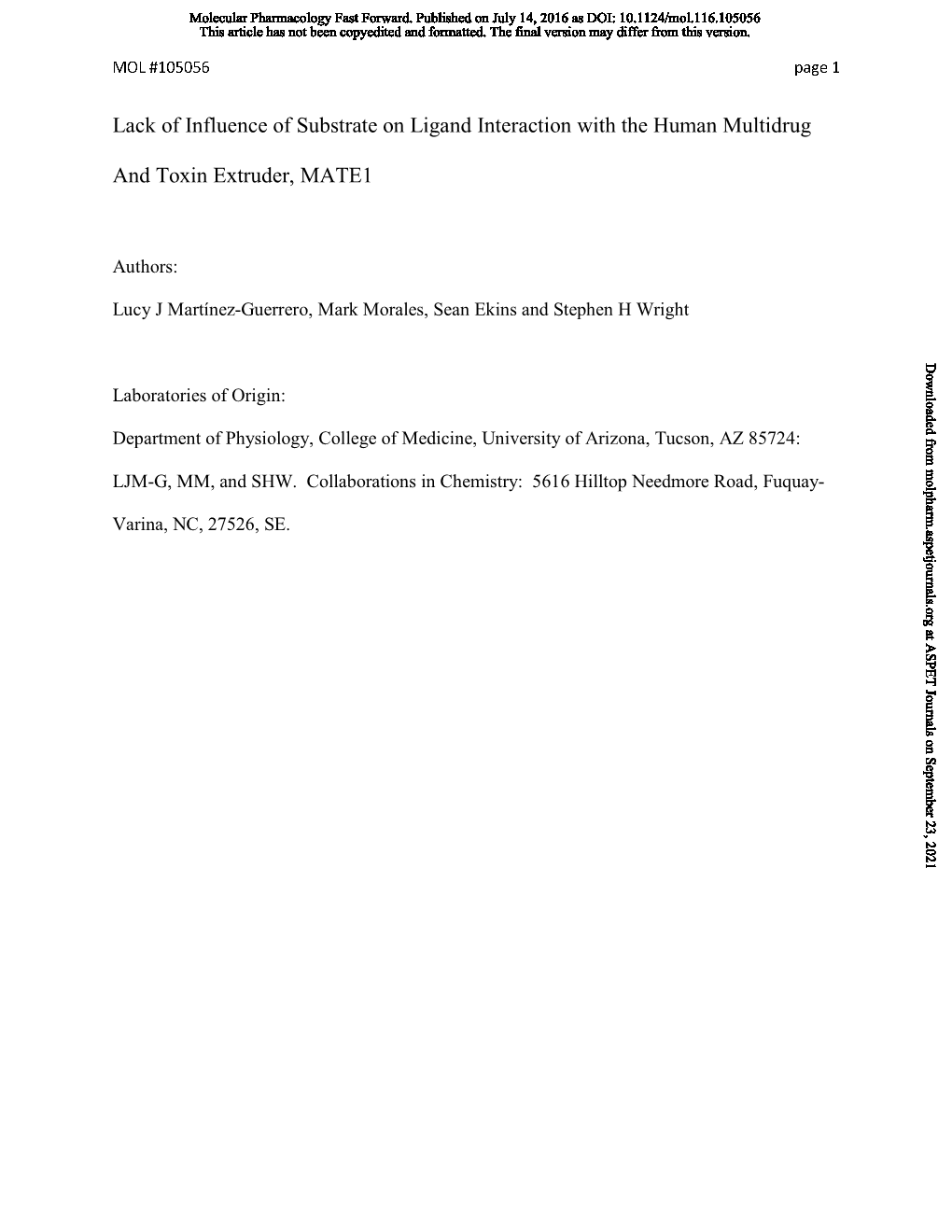 Lack of Influence of Substrate on Ligand Interaction with the Human Multidrug