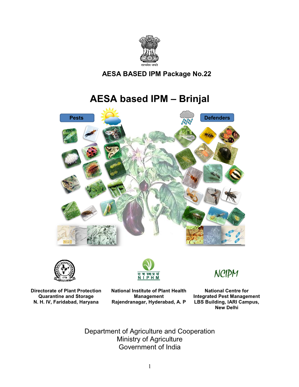 AESA Based IPM – Brinjal