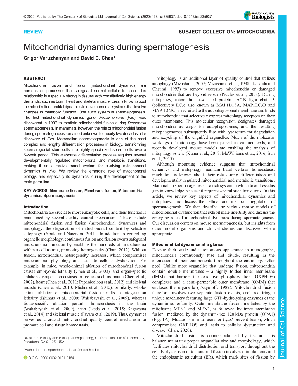 Mitochondrial Dynamics During Spermatogenesis Grigor Varuzhanyan and David C