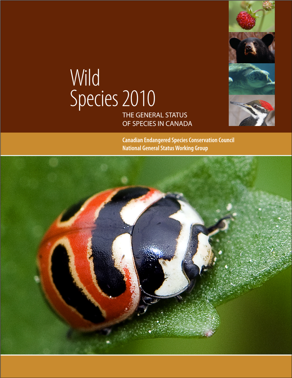 Wild Species 2010 the GENERAL STATUS of SPECIES in CANADA