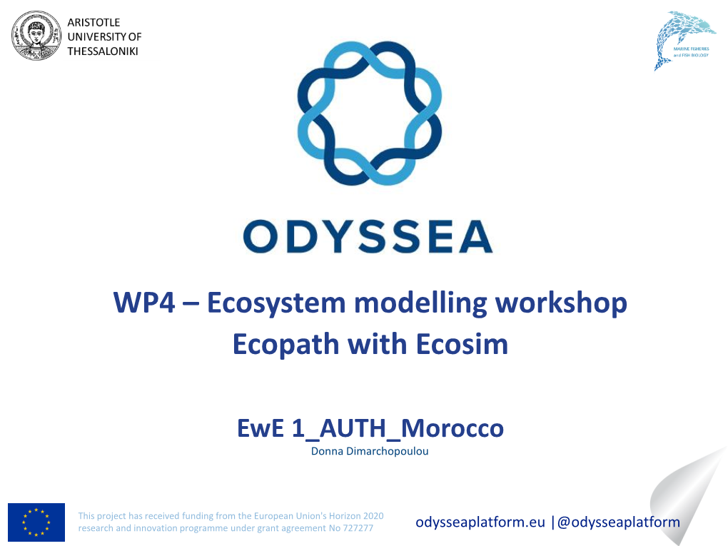 WP4 – Ecosystem Modelling Workshop Ecopath with Ecosim