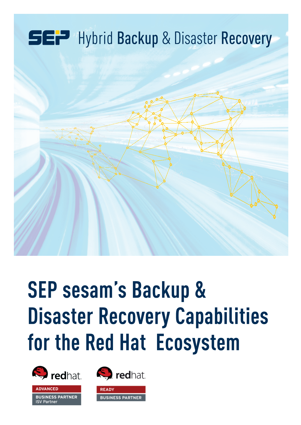 About SEP Sesam Hybrid Backup and Disaster Recovery