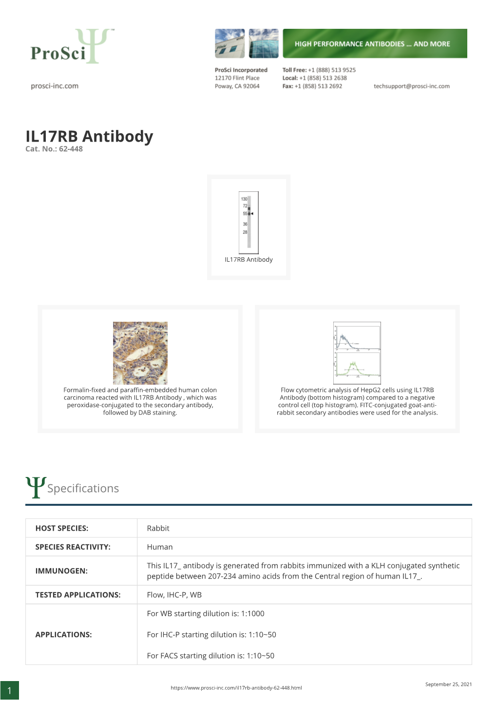 IL17RB Antibody Cat