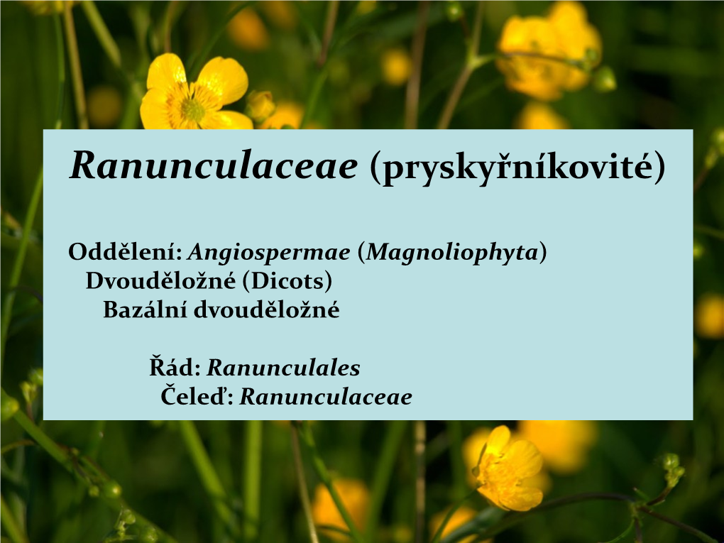 Květy Nebo Větve Květenství • Téměř Vždy Bez Palistů (Drobné Úkrojky Čepele Na Bázi Listů U Krytosemenných Rostlin