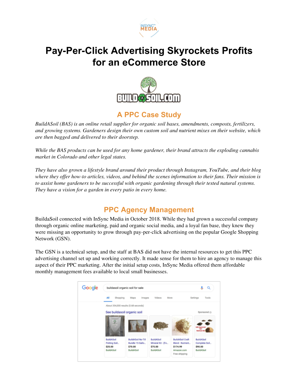 Pay-Per-Click Advertising Skyrockets Profits for an Ecommerce Store