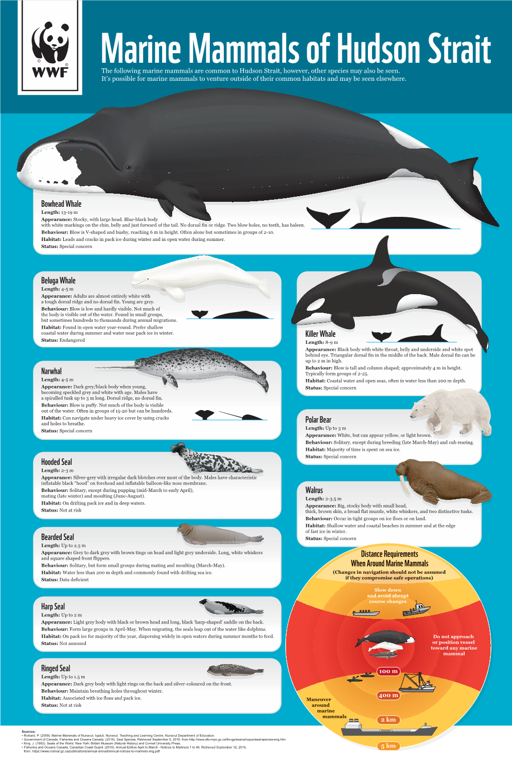 Marine Mammals of Hudson Strait the Following Marine Mammals Are Common to Hudson Strait, However, Other Species May Also Be Seen