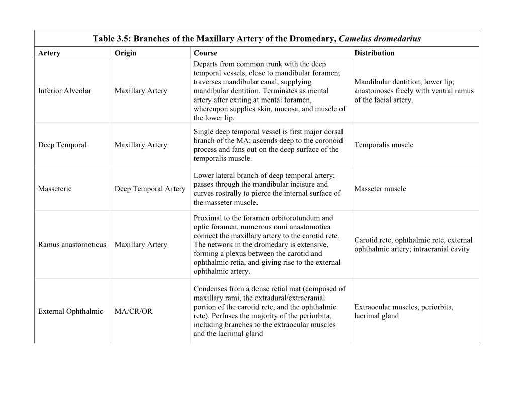 Branches of the Maxillary Artery of the Dromedary, Camelus Dromedarius
