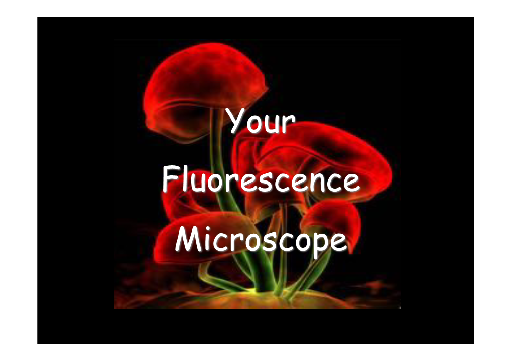 Your Fluorescence Microscope Transmitted-Light