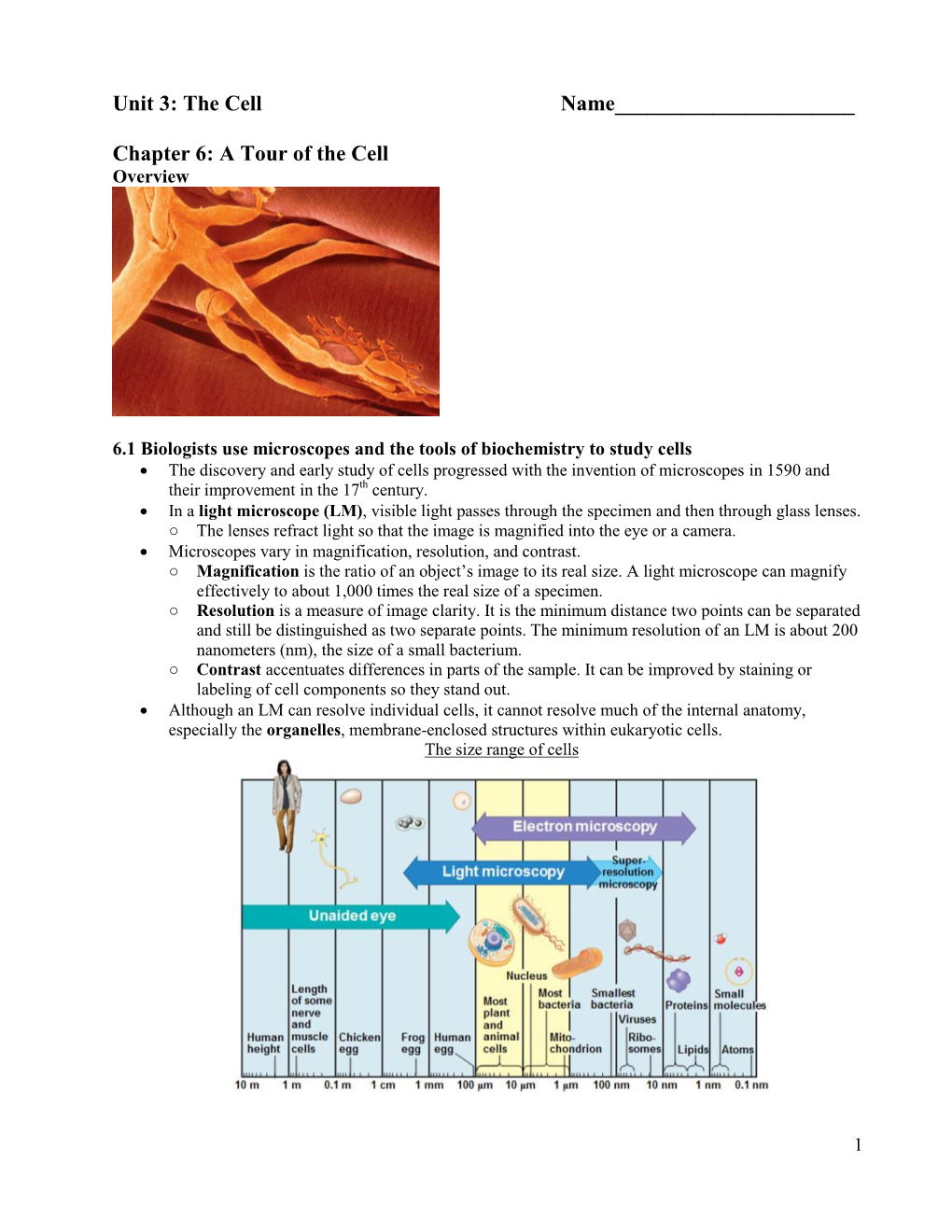 A Tour of the Cell Overview