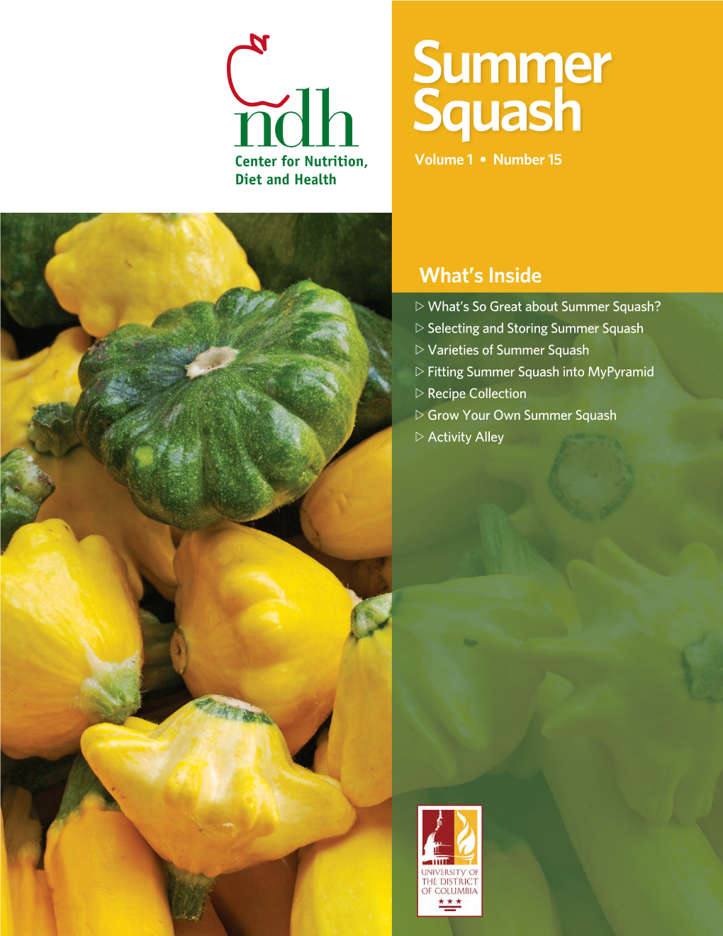 Summer Squash Volume 1 • Number 15