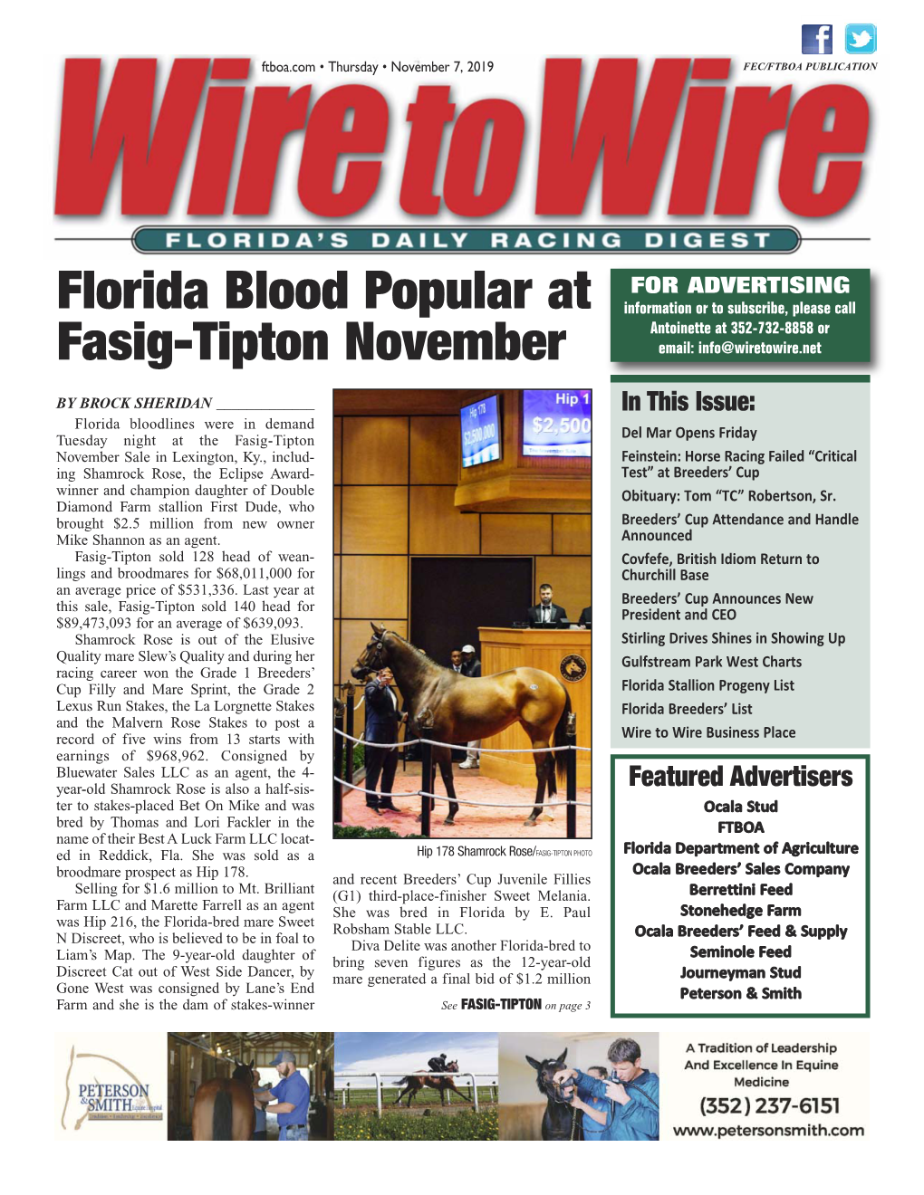 Florida Blood Popular at Fasig-Tipton November