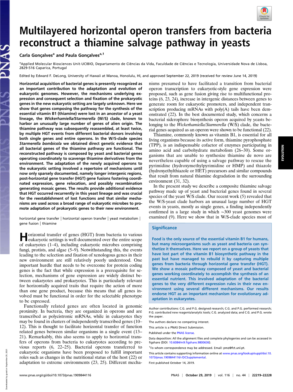 Multilayered Horizontal Operon Transfers from Bacteria Reconstruct a Thiamine Salvage Pathway in Yeasts