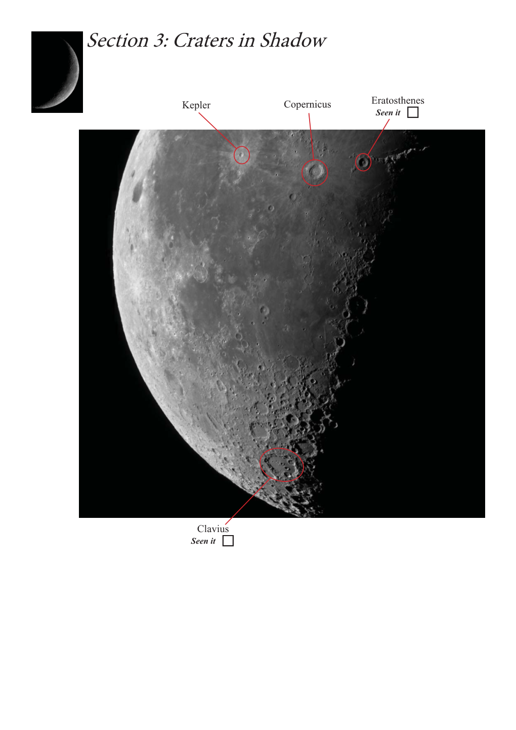 Craters in Shadow