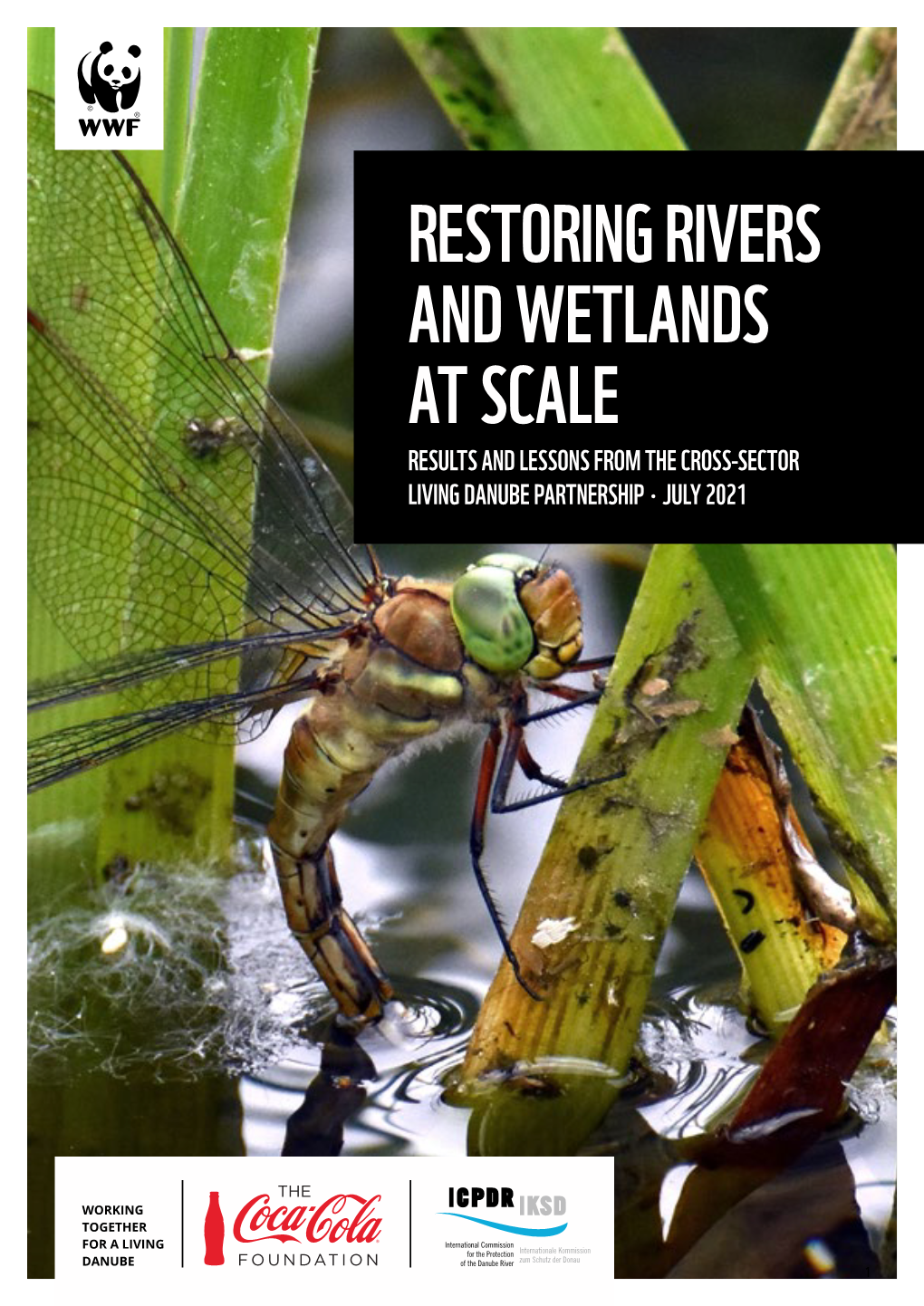 Restoring Rivers and Wetlands at Scale Results and Lessons from the Cross‑Sector Living Danube Partnership • July 2021