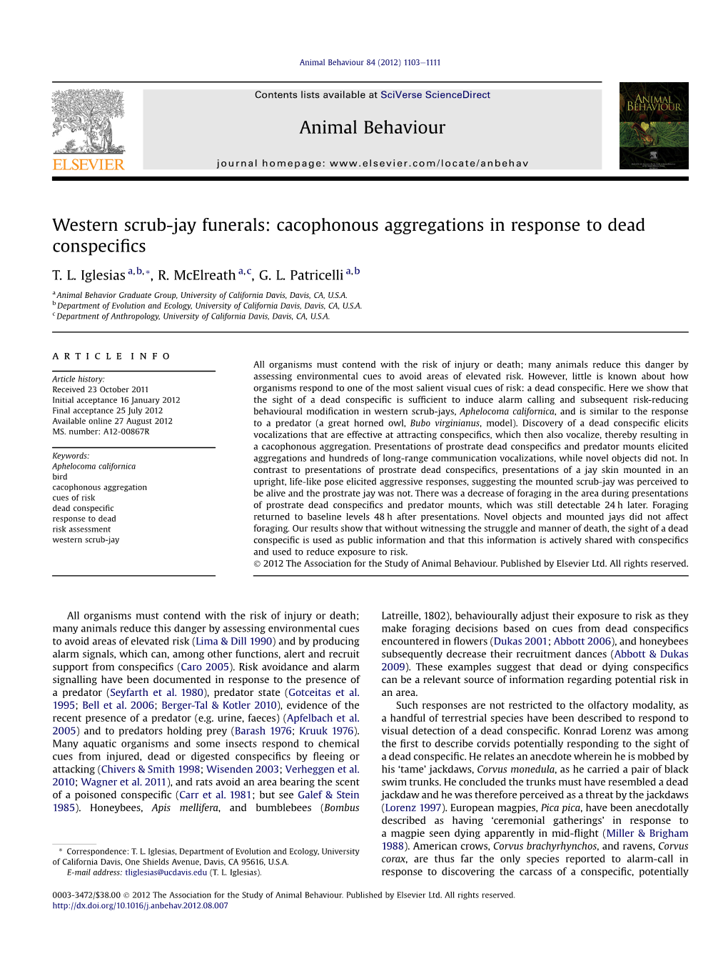 Western Scrub-Jay Funerals: Cacophonous Aggregations in Response to Dead Conspeciﬁcs