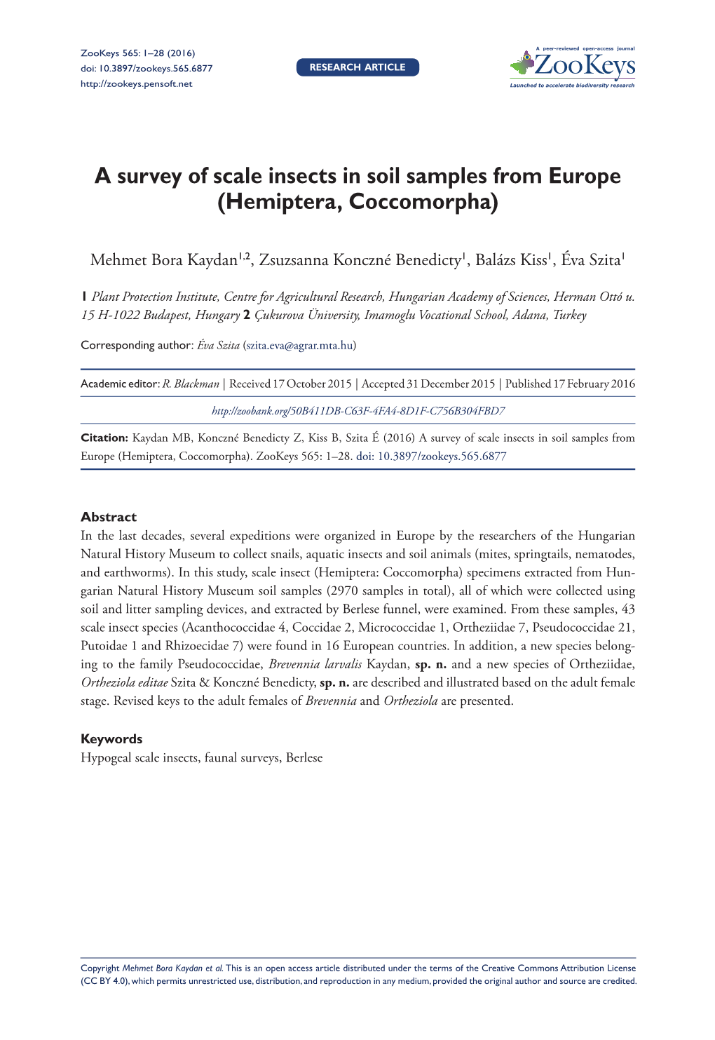 ﻿A Survey of Scale Insects in Soil Samples from Europe (Hemiptera, Coccomorpha)