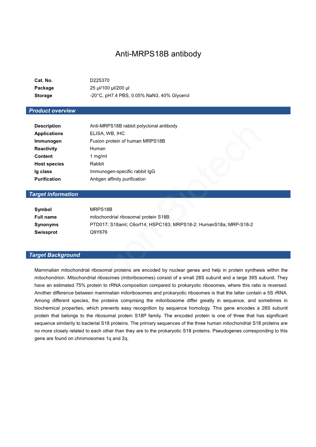 Anti-MRPS18B Antibody