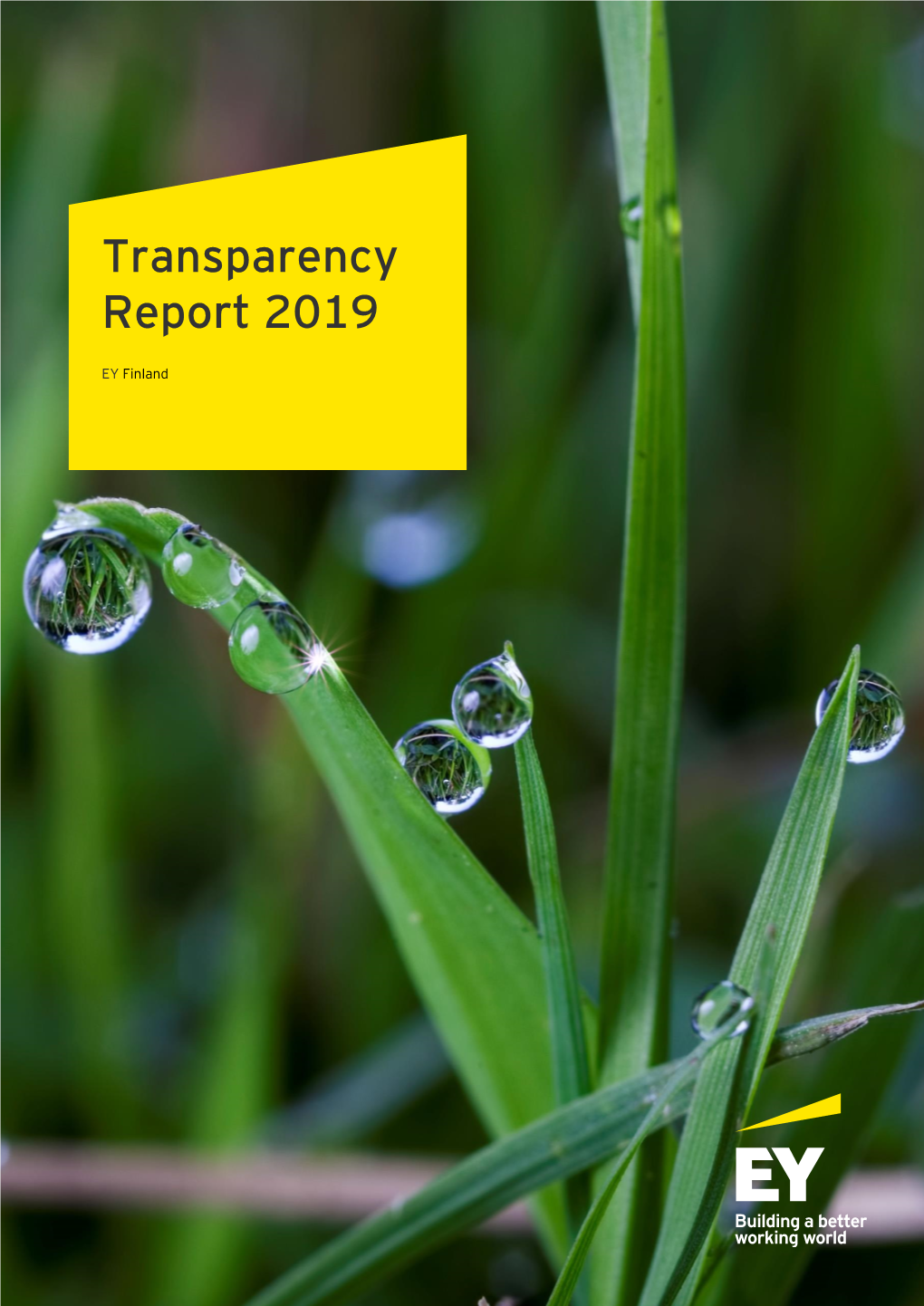 Transparency Report 2019