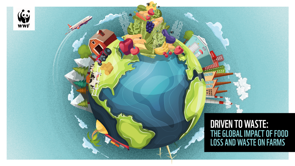 THE GLOBAL IMPACT of FOOD LOSS and WASTE on FARMS WWF-UK (2021) Driven to Waste: the Global Impact of Food Loss and Waste on Farms