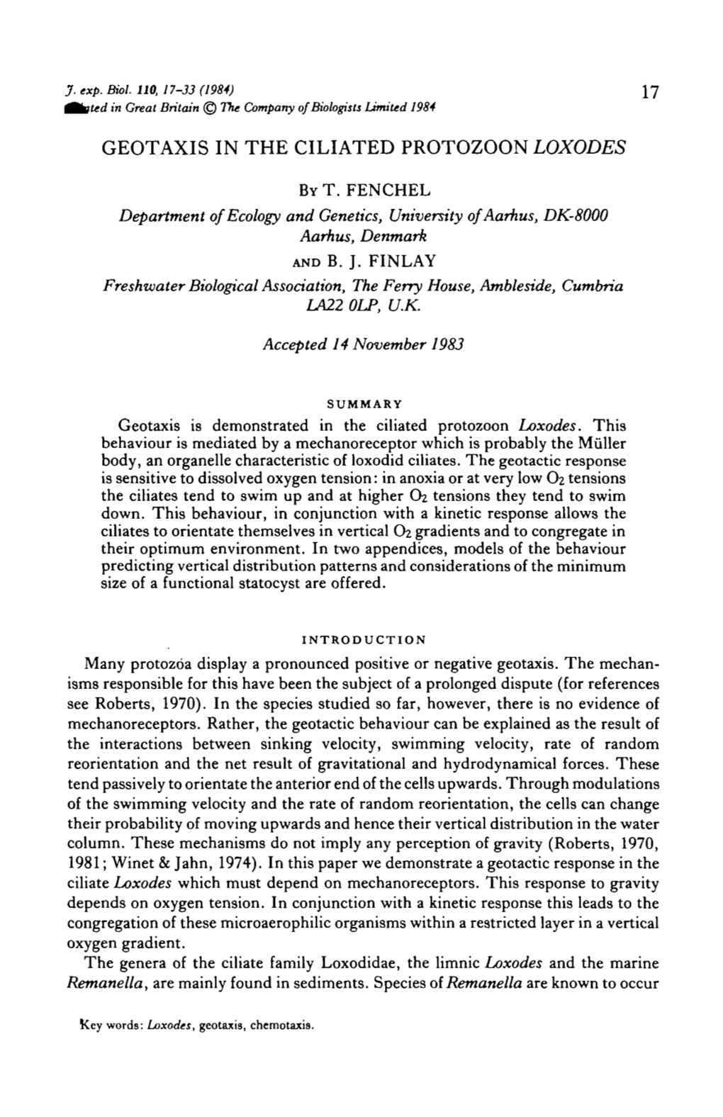 Geotaxis in the Ciliated Protozoon Loxodes