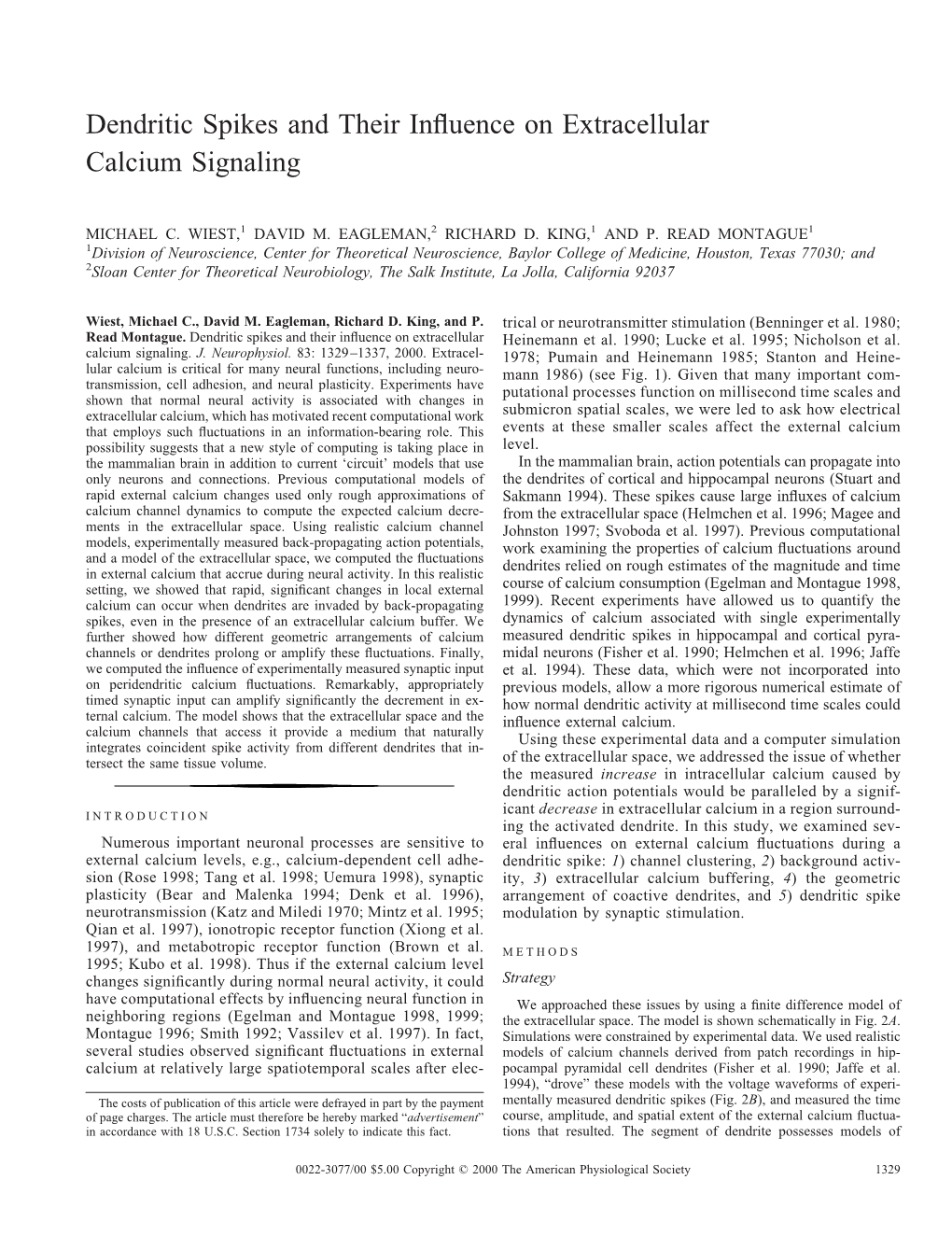 Dendritic Spikes and Their Influence on Extracellular Calcium Signaling