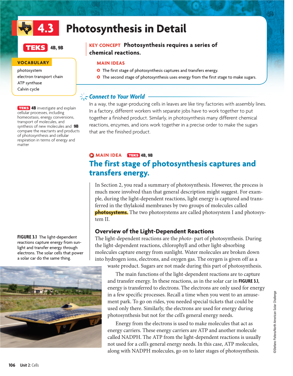 4.3 the Light-Dependent 4B, 9B Photosynthesis Indetail 9B Transfers Energy