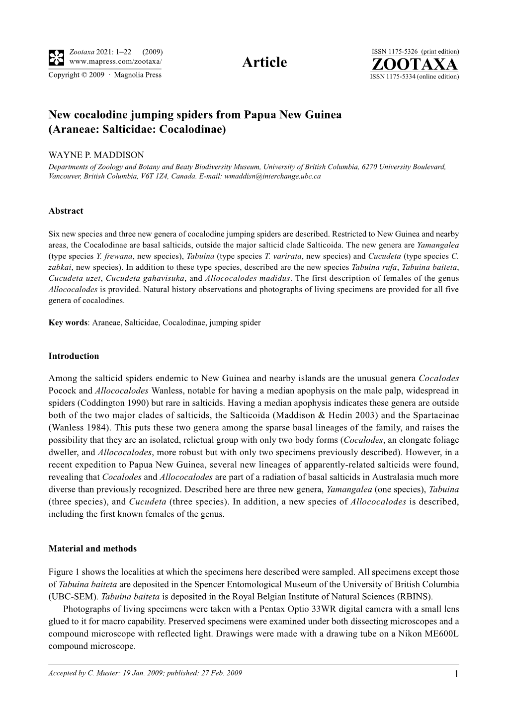 Zootaxa, New Cocalodine Jumping Spiders From