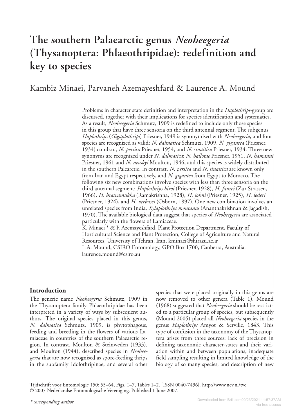 Thysanoptera: Phlaeothripidae): Redefinition and Key to Species