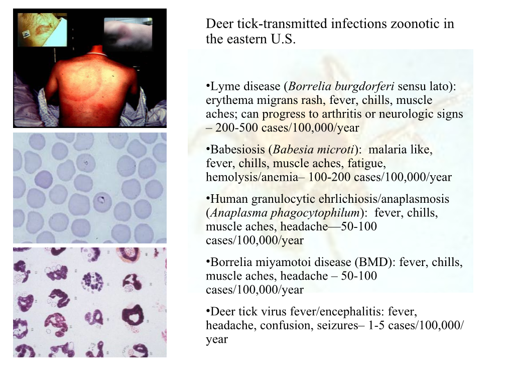 Tick-Transmitted Diseases