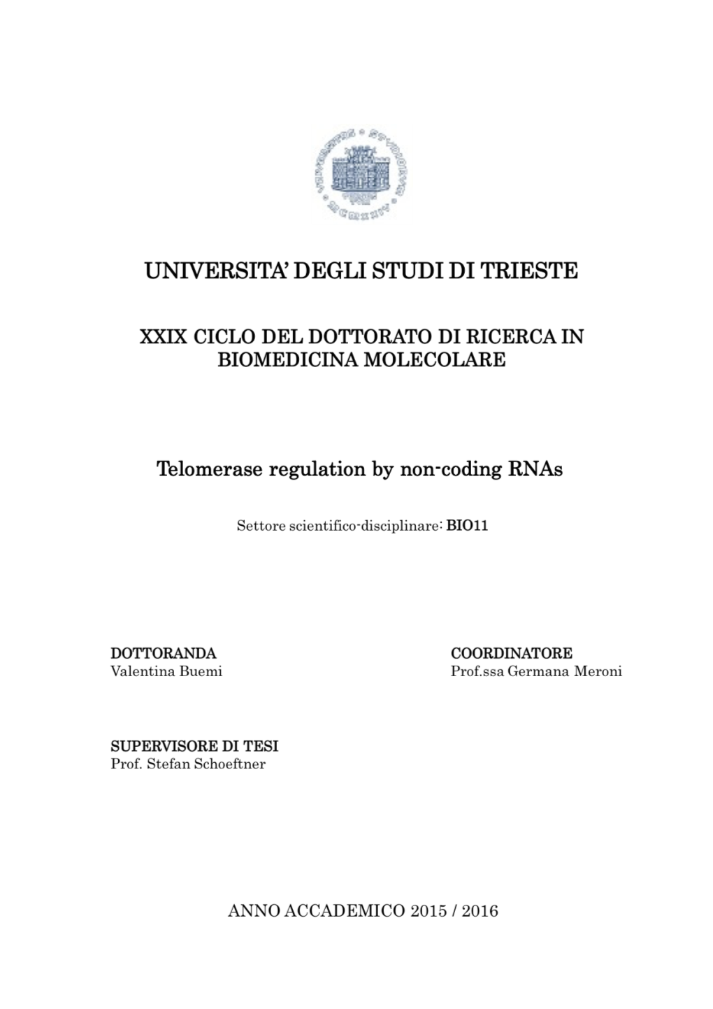 Phd Thesis Valentina Buemi.Pdf