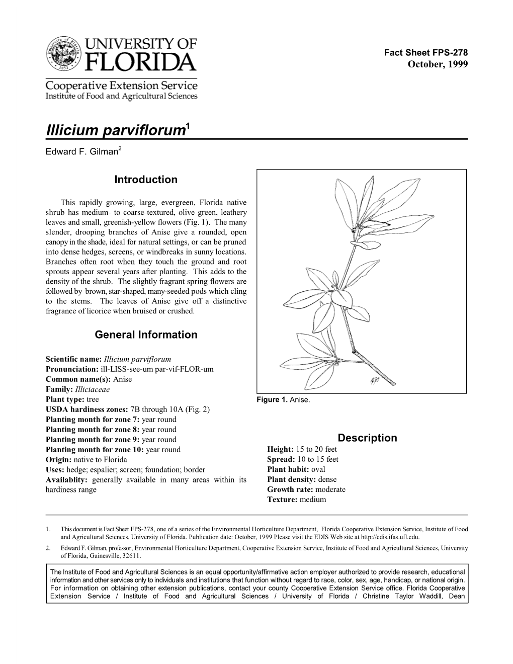 Illicium Parviflorum1