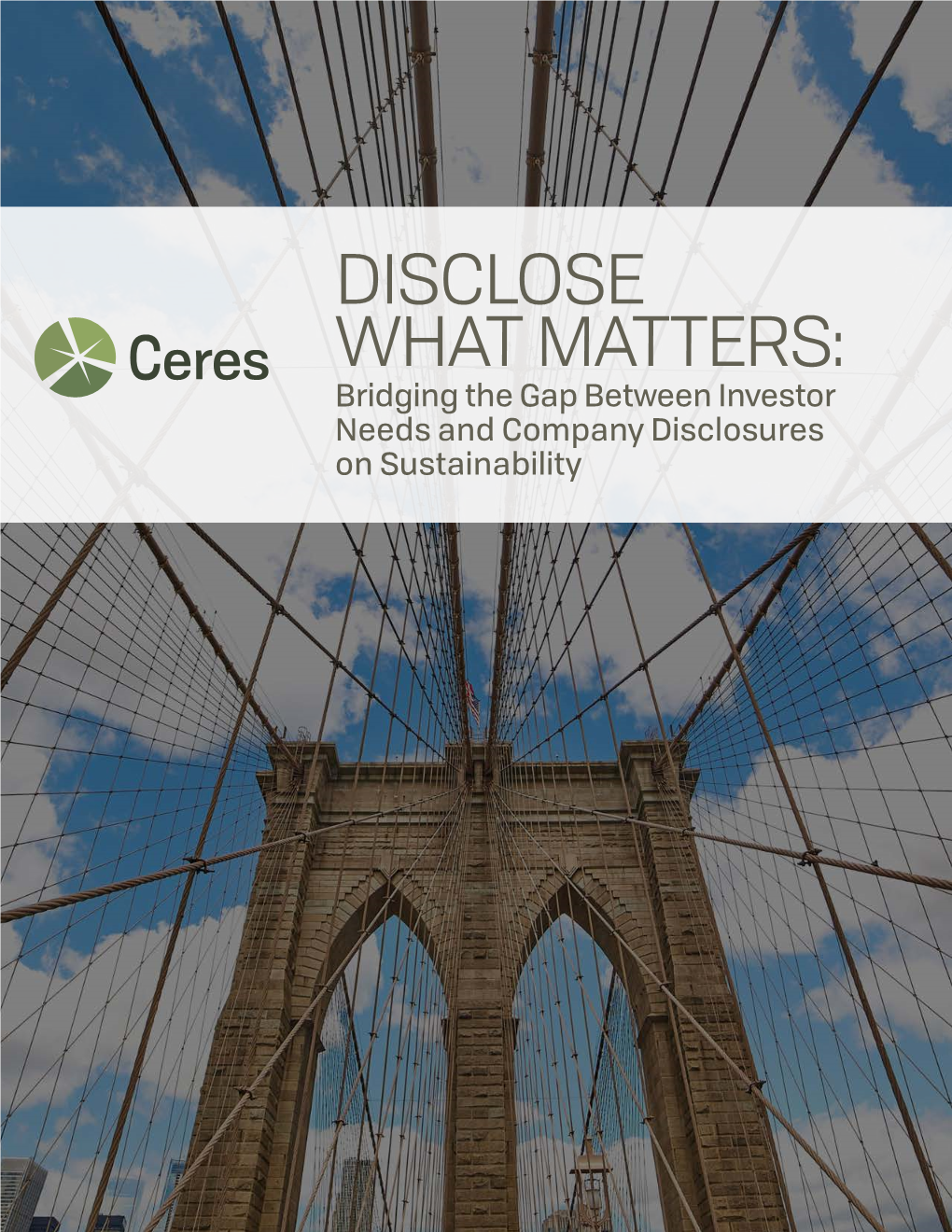 Disclose What Matters: Bridging the Gap Between Investor Needs and Company Disclosures on Sustainability Acknowledgements
