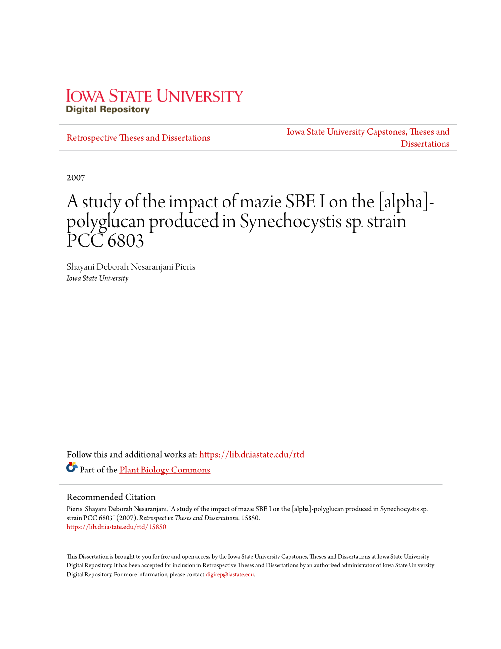 A Study of the Impact of Mazie SBE I on the [Alpha]-Polyglucan Produced in Synechocystis Sp