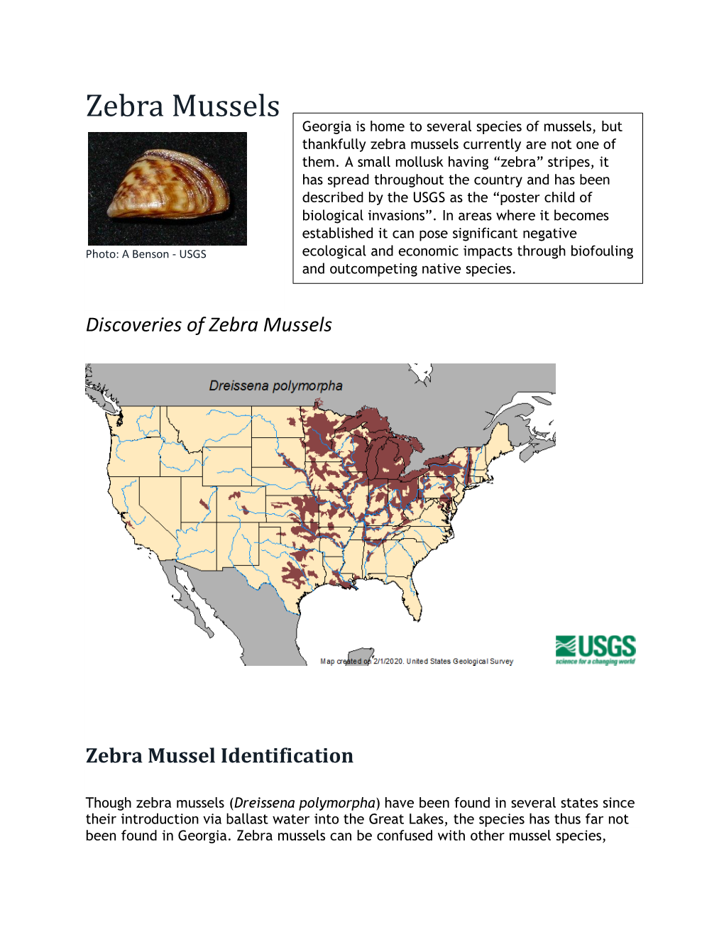 Zebra Mussels Georgia Is Home to Several Species of Mussels, but Thankfully Zebra Mussels Currently Are Not One of Them