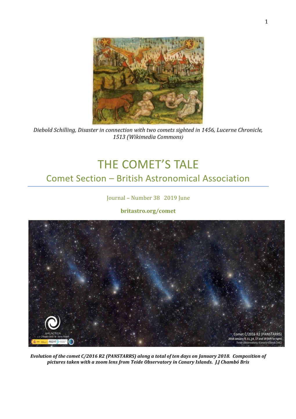 The Comet's Tale, and Therefore the Object As a Whole Would the Section Director Nick James Highlighted Have a Low Surface Brightness