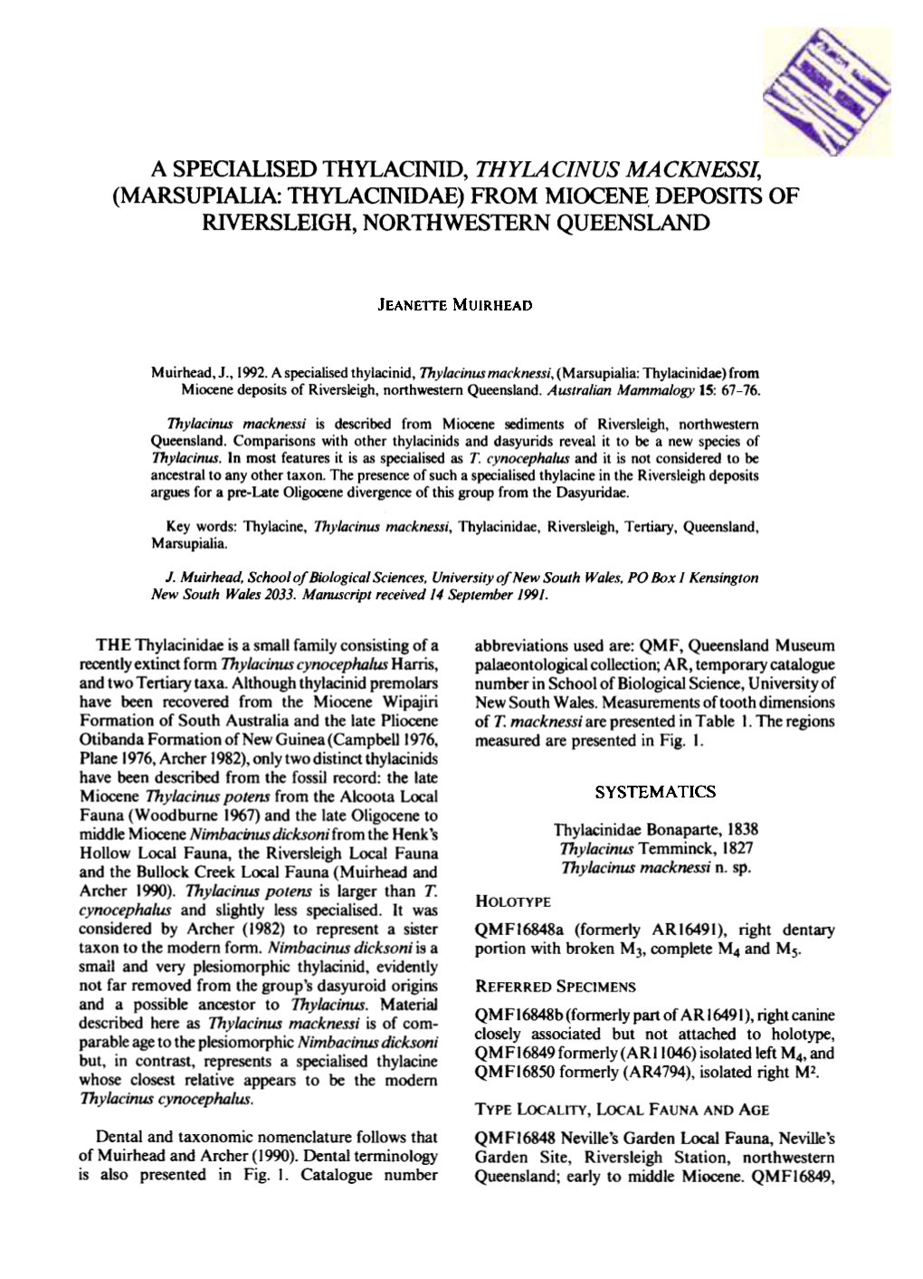 A Specialised Thylacinid, Thylacinus Macknessi; (Marsupialia: Thylacinidae) from Miocene Deposits of Riversleigh, Northwestern Queensland