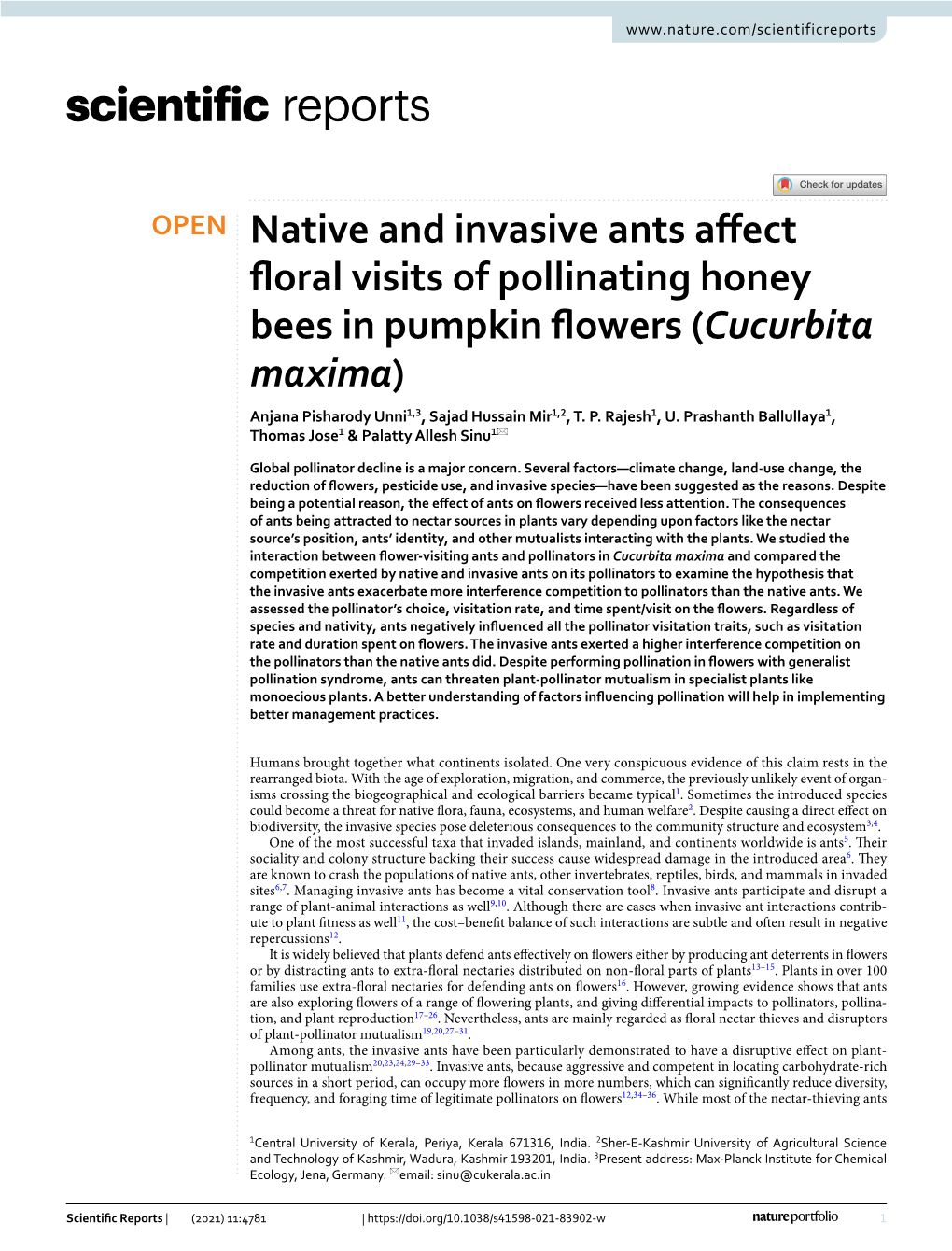 Native and Invasive Ants Affect Floral Visits of Pollinating Honey Bees in Pumpkin Flowers (Cucurbita Maxima)