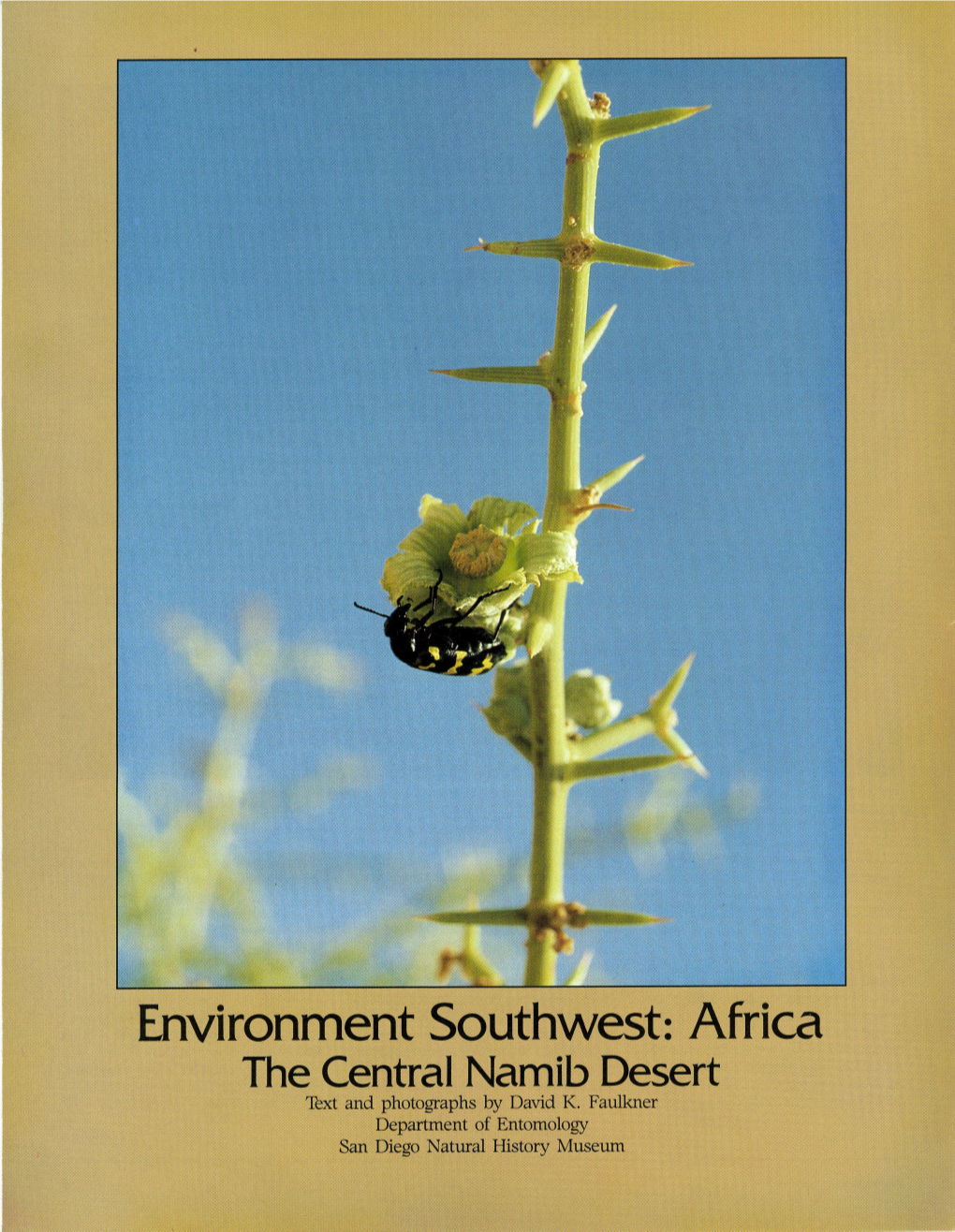 Environment Southwest: Africa the Central Namib Desert 'Iext and Photographs by David K