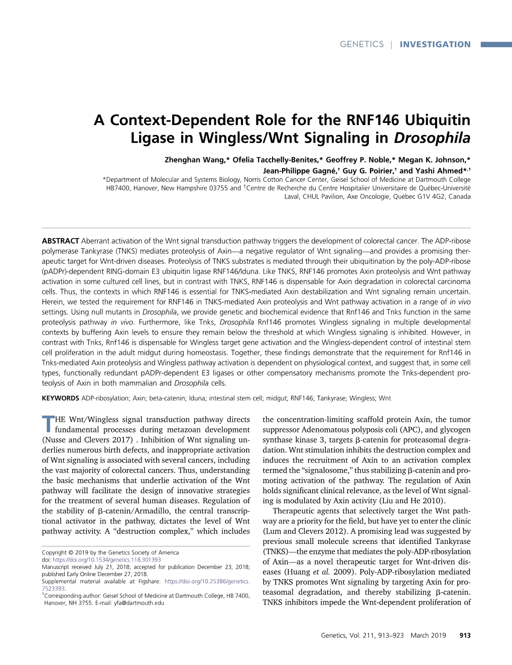 A Context-Dependent Role for the RNF146 Ubiquitin Ligase in Wingless/Wnt Signaling in Drosophila