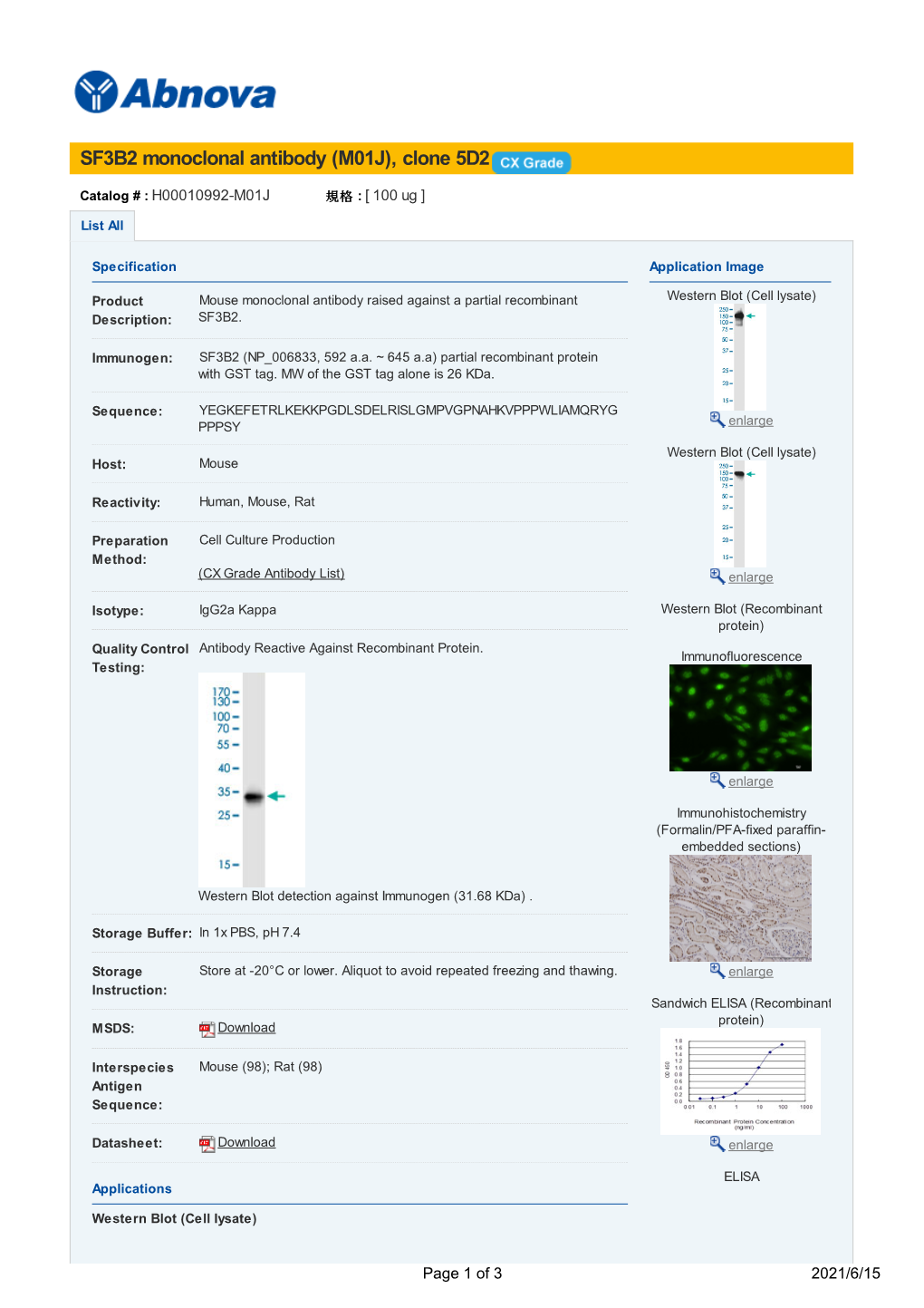 SF3B2 Monoclonal Antibody (M01J), Clone 5D2