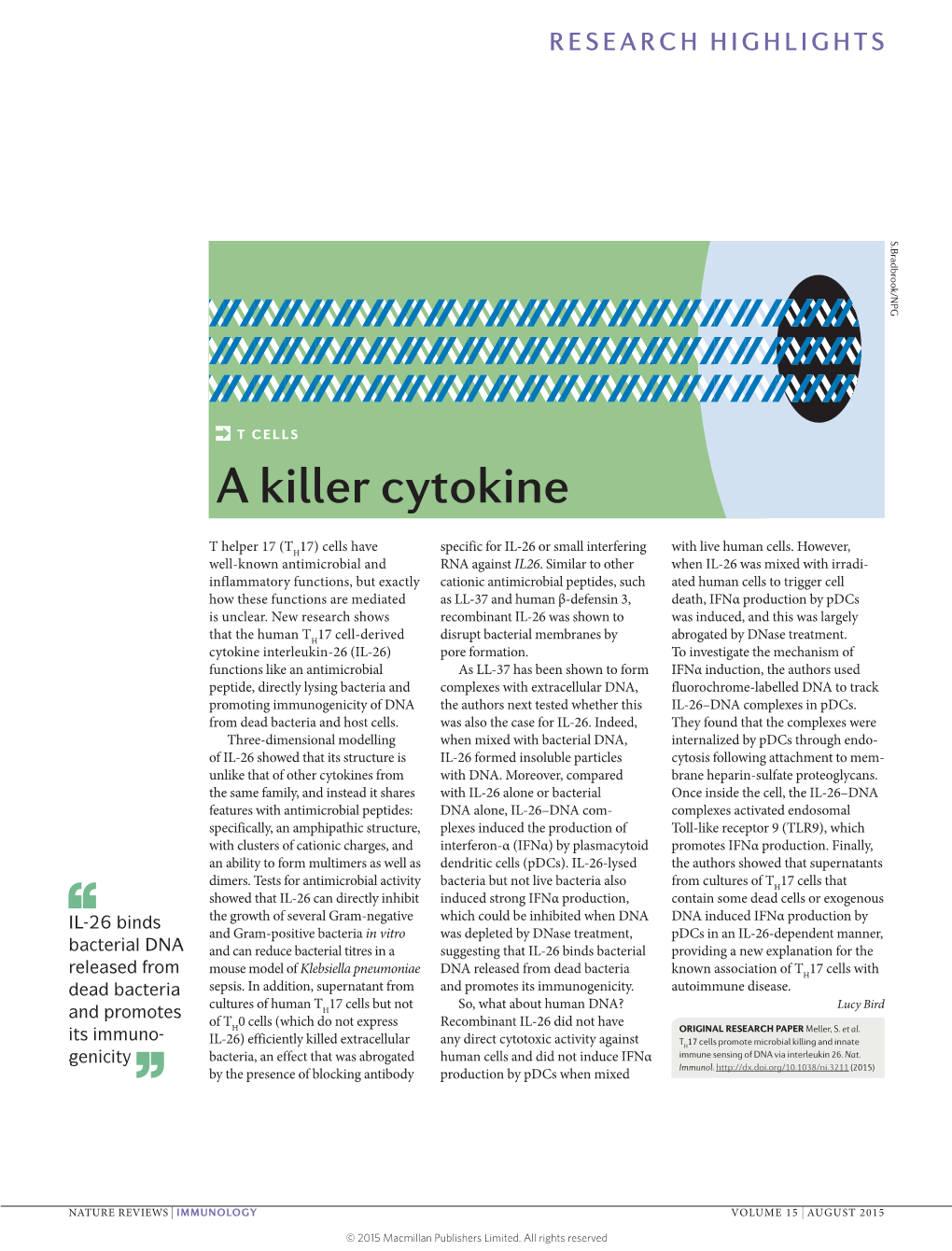 T CELLS a Killer Cytokine