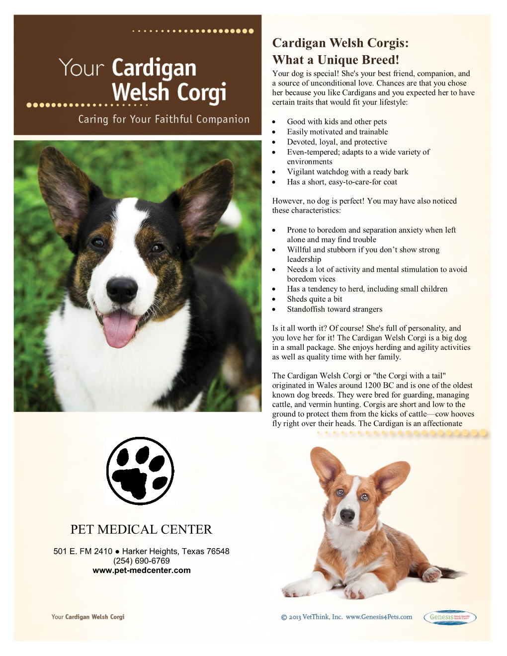 Cardigan Welsh Corgis: What a Unique Breed! PET MEDICAL CENTER