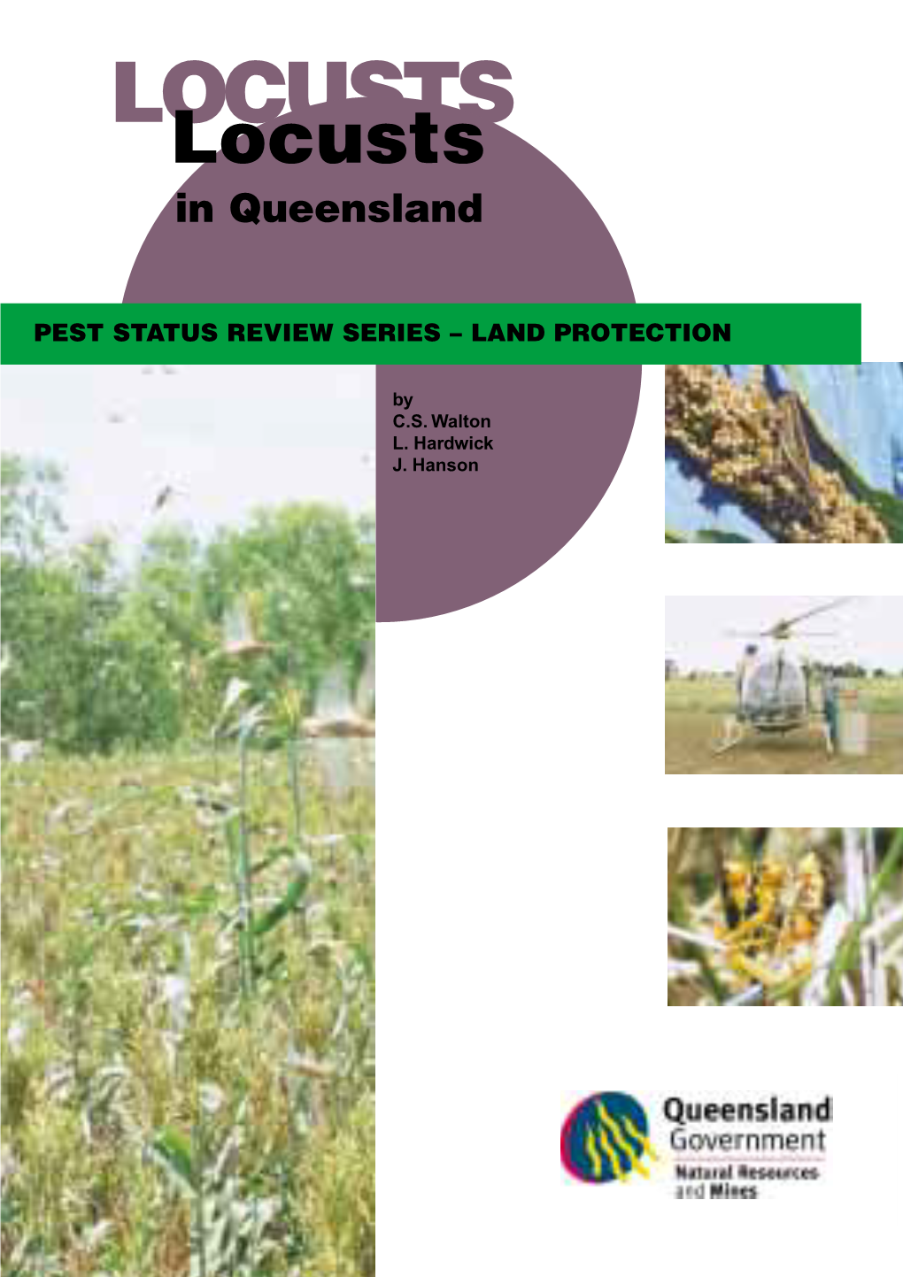 Locusts in Queensland