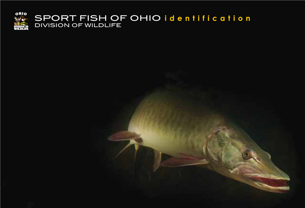 SPORT FISH of OHIO Identification DIVISION of WILDLIFE