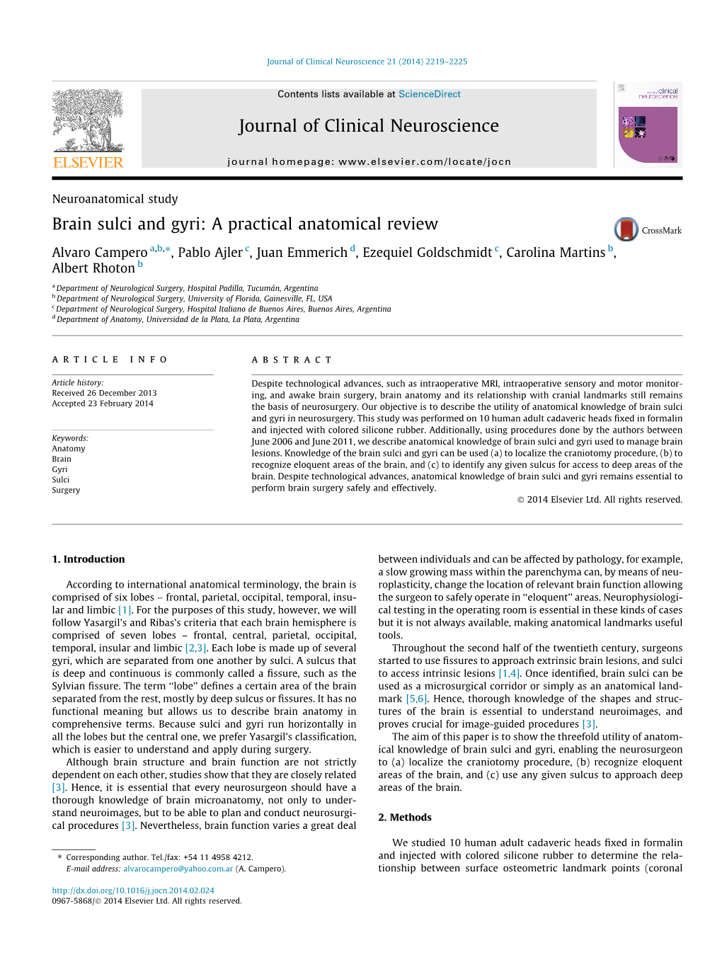 Brain Sulci and Gyri: a Practical Anatomical Review