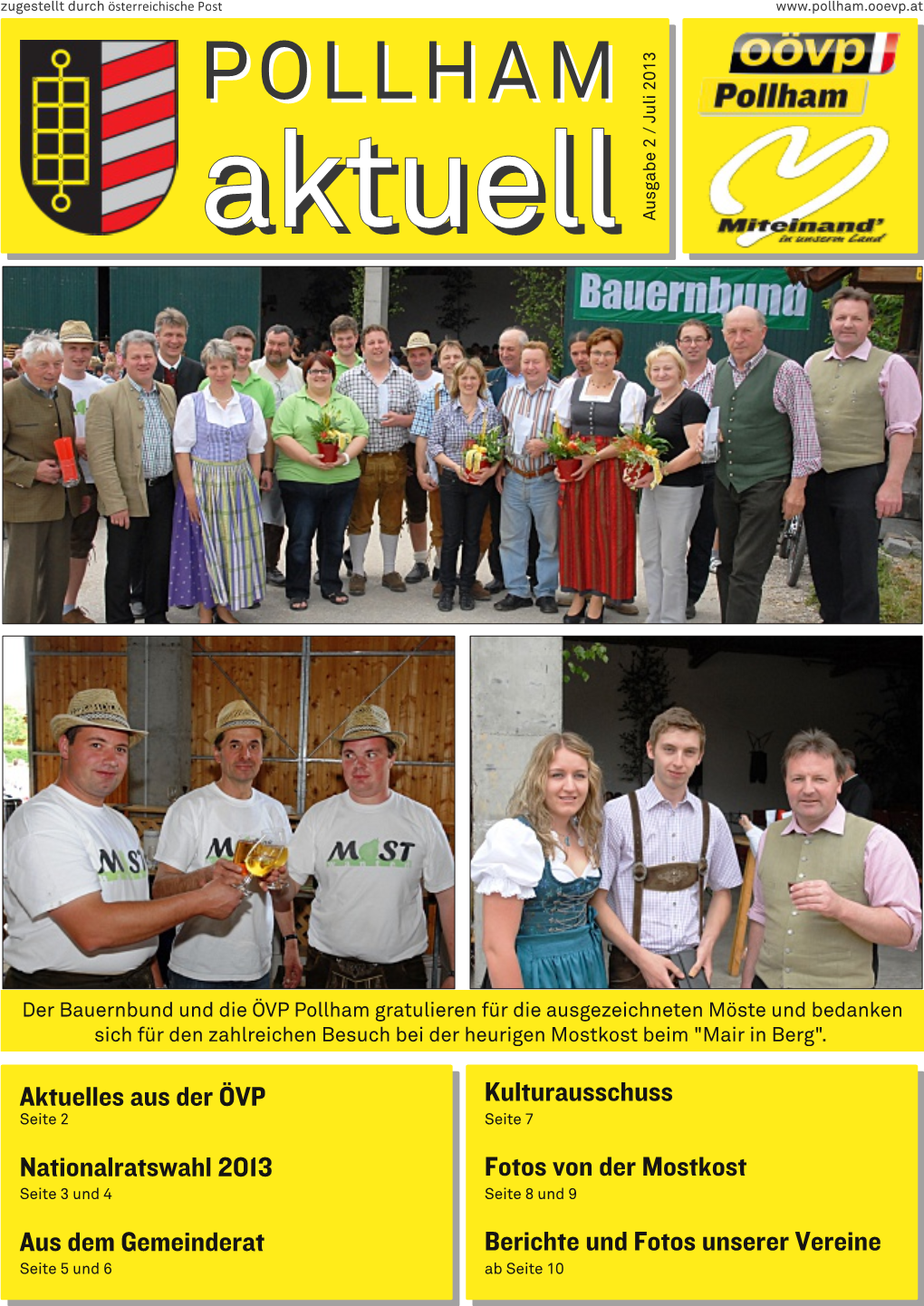 Pollham Aktuell V2 2013 Web.Pdf