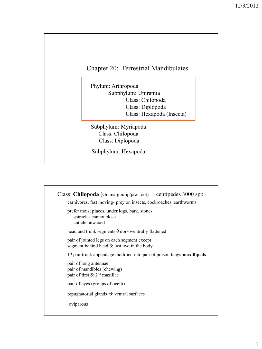 Chapter 20: Terrestrial Mandibulates