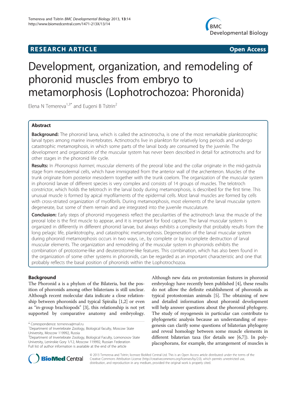 Development, Organization, and Remodeling of Phoronid Muscles from Embryo to Metamorphosis (Lophotrochozoa: Phoronida) Elena N Temereva1,3* and Eugeni B Tsitrin2